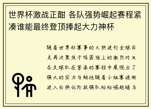 世界杯激战正酣 各队强势崛起赛程紧凑谁能最终登顶捧起大力神杯
